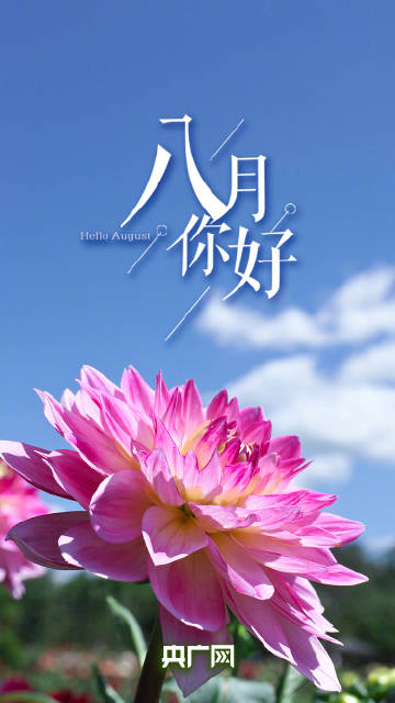 八月第一天立个flag